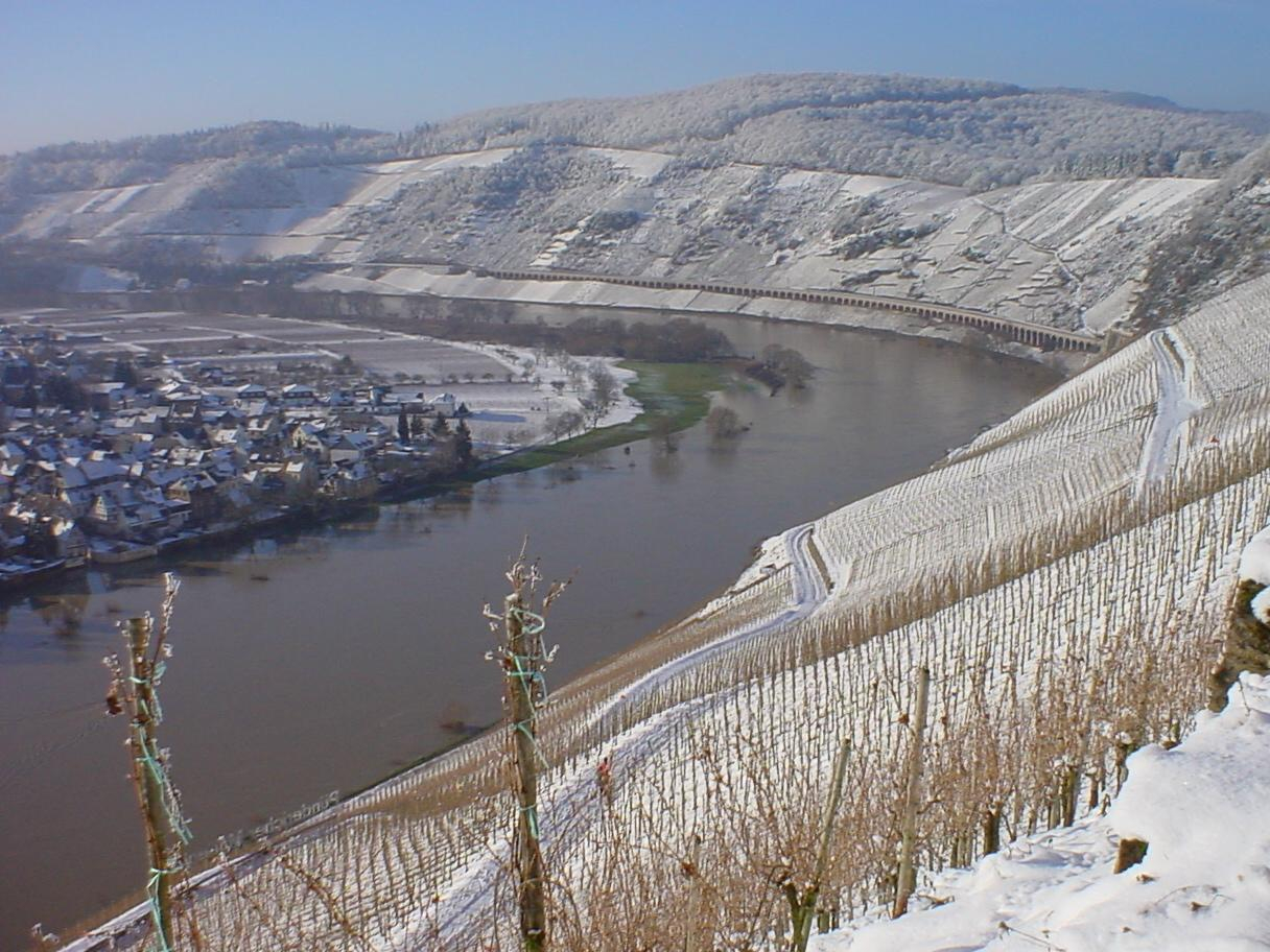 Pünderich im Winter